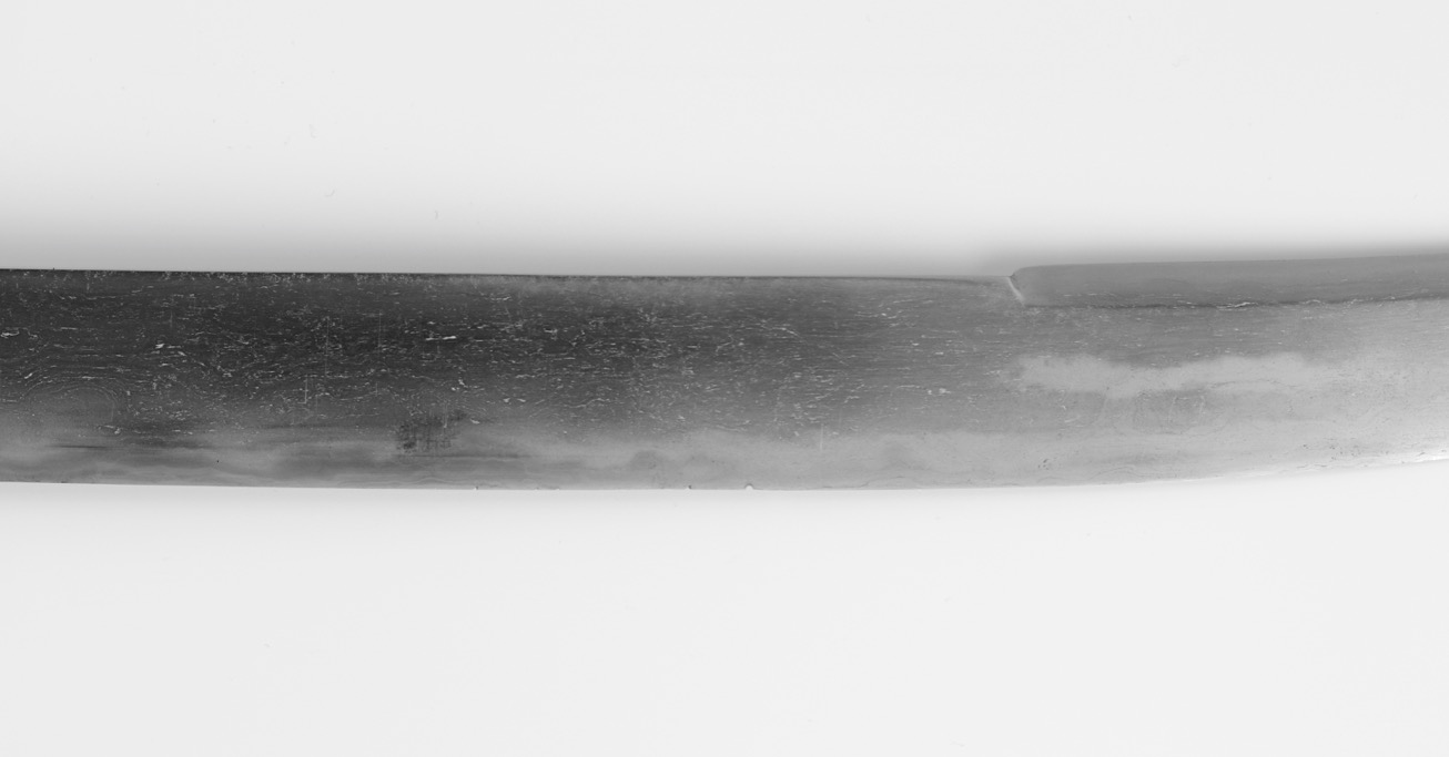 An antique Chinese saber of the 17th century with raised backedge.