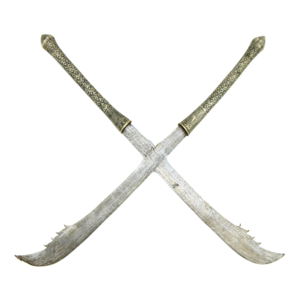 Laos double swords logo